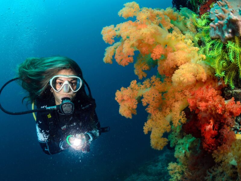 AdobeStock_209514436